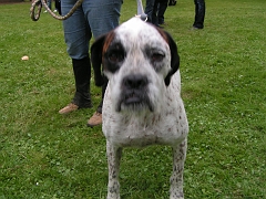 REMPARTS LONGWY 2008 248